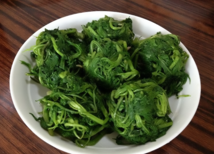记忆力小时候的味道:柳蒿芽蘸酱~谁吃过?谁吃过?