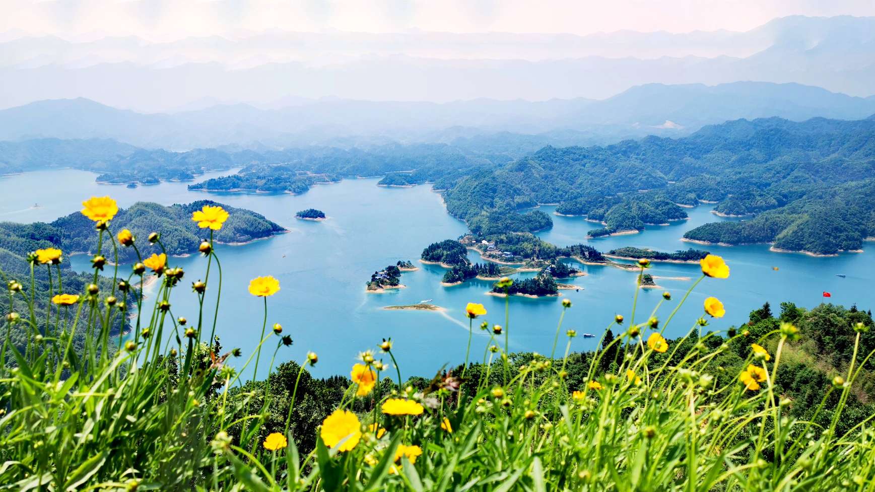 青山水库边的棺材山野生昆虫.