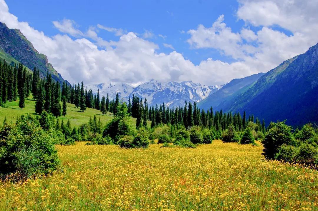 新疆是个好地方 醉美伊犁—环游天山8日深度游