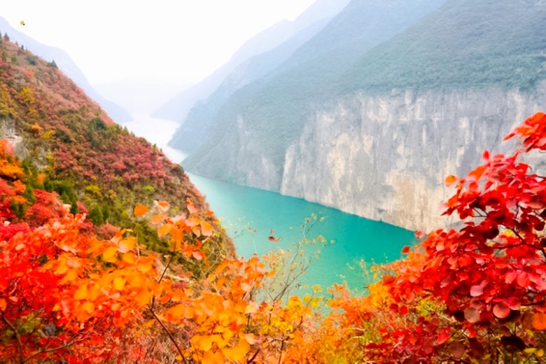 【長江三峽2日】紅葉醉三峽の中國最紅的秋季美景之一,兩天一晚感受